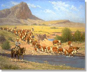 The Main Herd